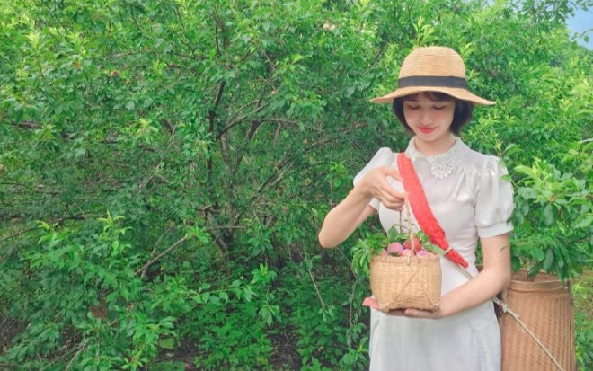 Mộc Châu những ngày tháng 5 - rộn ràng đón lễ hội hái mận 'lớn nhất Vịnh Bắc Bộ Ảnh 2