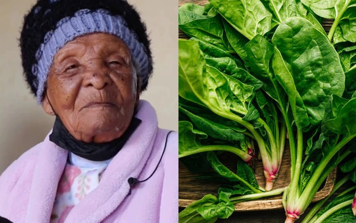 Bí quyết sống thọ của 'người già nhất thế giới' Ảnh 2