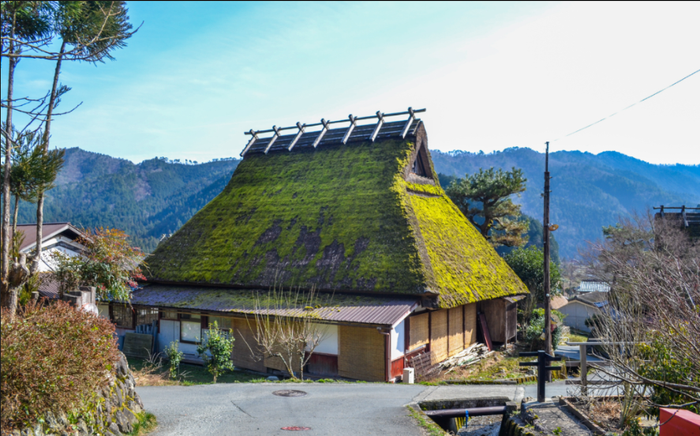Đắm chìm trong ngôi làng cổ đẹp như tranh vẽ tại Nhật Bản Ảnh 7