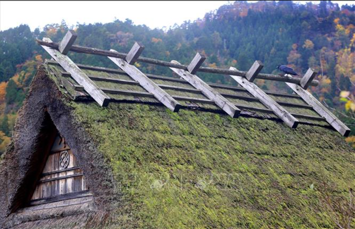 Đắm chìm trong ngôi làng cổ đẹp như tranh vẽ tại Nhật Bản Ảnh 6