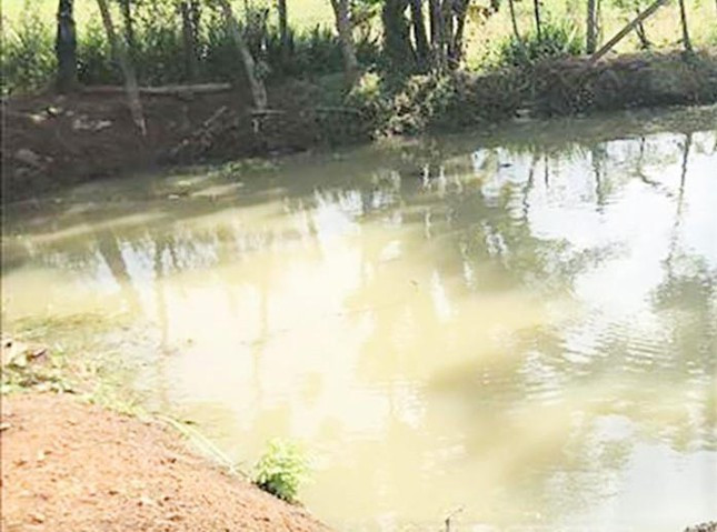 Hiện trường vụ việc