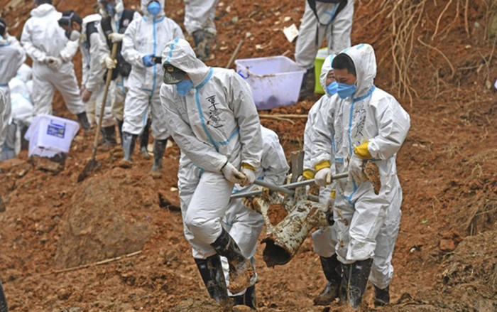 Wall Street Journal: Vụ rơi máy bay China Eastern Airlines tại Trung Quốc không phải là tai nạn bất ngờ Ảnh 2
