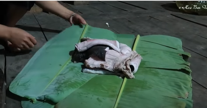 Nguồn: Hoa Ban Tây Bắc