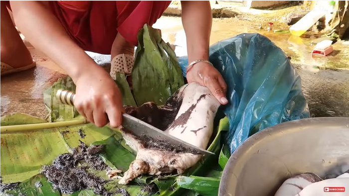 Nguồn: Hoa Ban Tây Bắc