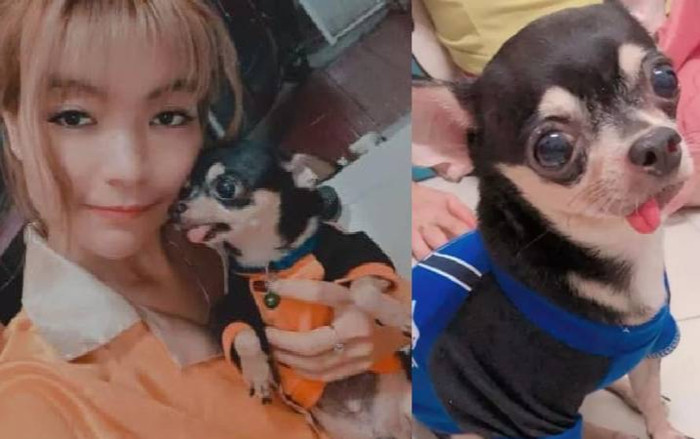 Vừa kết hôn, bà xã Mạc Văn Khoa thông báo tin đau lòng: 'Tạm biệt bé Đen của mẹ' Ảnh 2