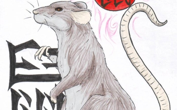 6 tháng cuối năm 2022, 4 con giáp này may mắn có cơ hội phát tài, sự nghiệp thành công rực rỡ Ảnh 2