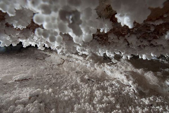 Những tinh thể đá đang hình thành ở độ sâu 150m dưới lòng đất có dáng vẻ giống súp lơ