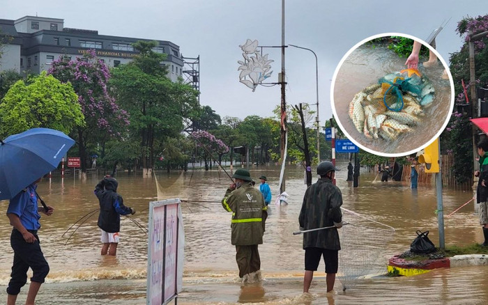 Mưa lớn khiến đường phố ngập 'thành sông', người dân mang vó, nơm ra giữa ngã tư đường bắt cá Ảnh 2