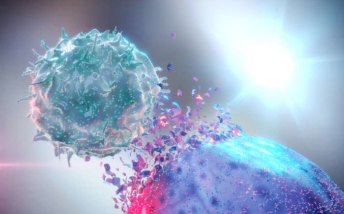 Lần đầu tiên tiêm thử nghiệm virus diệt ung thư trên người Ảnh 2