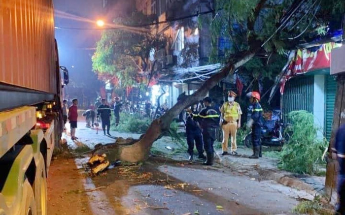 Xe container va chạm vào cây cổ thủ ven đường, một học sinh bị cành gãy đè trúng Ảnh 2