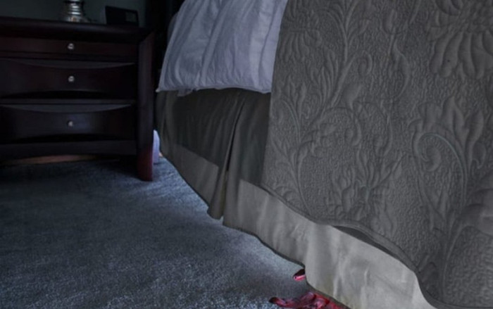 Không tin lời anh trai, cô gái về nhà tìm bố mẹ thì thất kinh khi nhìn xuống gầm giường Ảnh 2