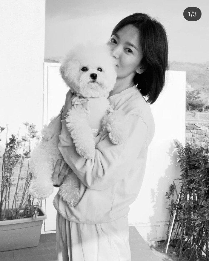 Song Hye Kyo có thật sự đang ổn? Ảnh 3