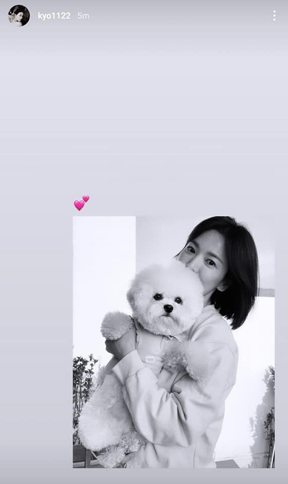 Song Hye Kyo đăng ảnh trắng đen chụp cùng Ruby lên nhật ký kèm theo biểu tượng hình trái tim.