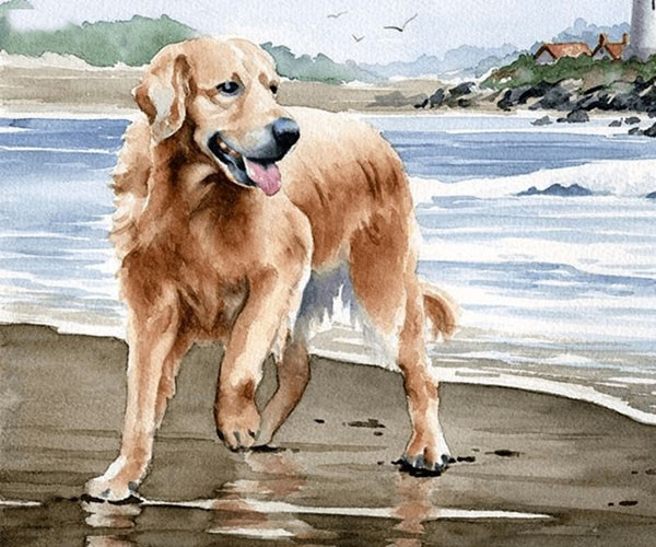 3 con giáp nữ vất vả lận đận, trải qua nhiều sóng gió mới có cuộc sống yên bình Ảnh 3