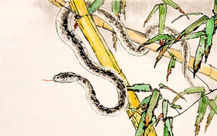 3 con giáp nữ vất vả lận đận, trải qua nhiều sóng gió mới có cuộc sống yên bình Ảnh 2