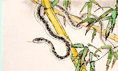 3 con giáp nữ vất vả lận đận, trải qua nhiều sóng gió mới có cuộc sống yên bình Ảnh 2