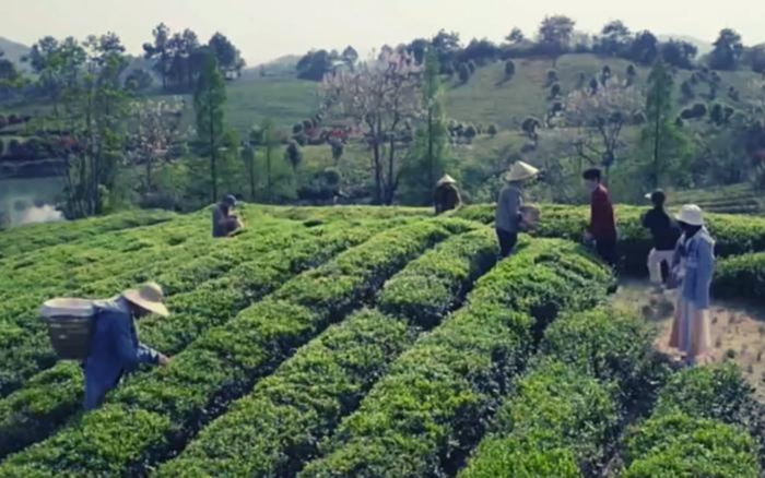 Khung cảnh yên bình trong Hậu Lãng.