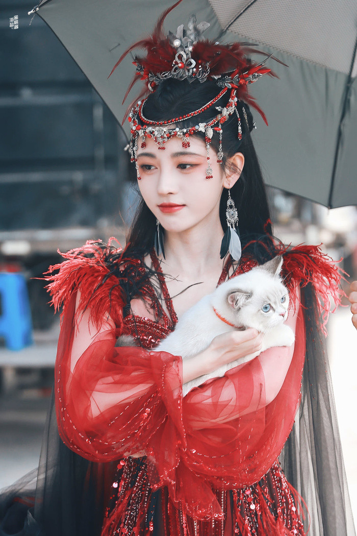 Triệu Lộ Tư - Bạch Lộc được đề cử tứ tiểu hoa lưu lượng: Tổ hợp gây nhiều tranh cãi Ảnh 7