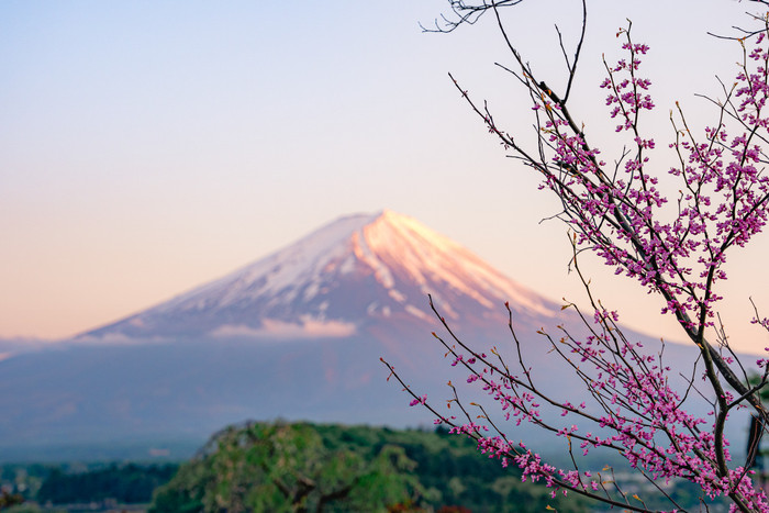 Ngắm nhìn vẻ đẹp của ngọn núi được xem là biểu tượng linh thiêng bậc nhất Nhật Bản Ảnh 7