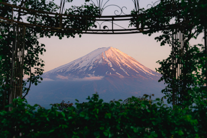 Bức ảnh được chụp tại hồ Kawaguchi (một trong Phú Sĩ ngũ Hồ).