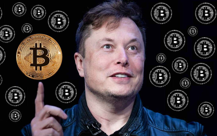 'Bán giấc mơ làm giàu cho người nghèo', Elon Musk bị gọi là kẻ đào mỏ Ảnh 2