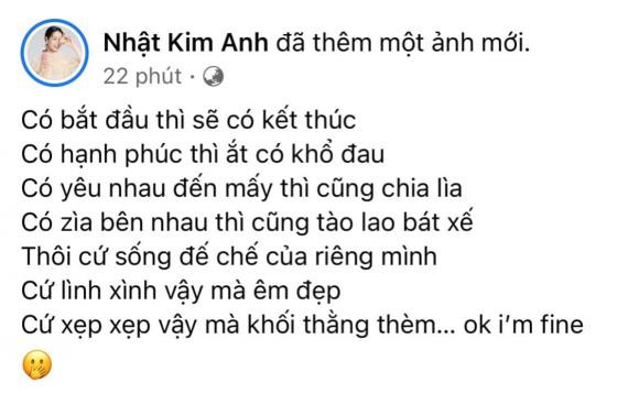 Hậu tan vỡ trong hôn nhân, Nhật Kim Anh không còn tha thiết gì với chuyện yêu đương Ảnh 2
