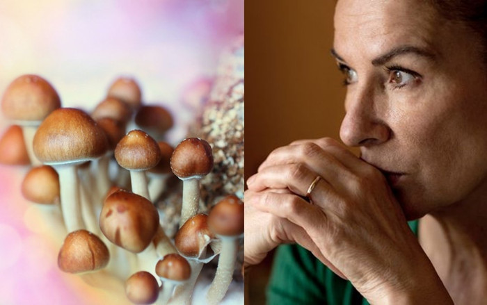 Hợp chất gây ảo giác trong nấm ma thuật giúp 'khai thông' bộ não của người bị trầm cảm Ảnh 2