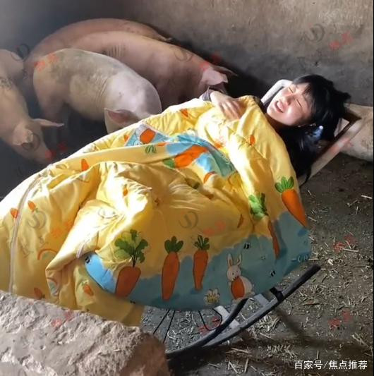 Cô gái xinh xắn thích ngủ trong chuồng lợn, thậm chí còn múa hát cho 'đàn con' nghe Ảnh 3