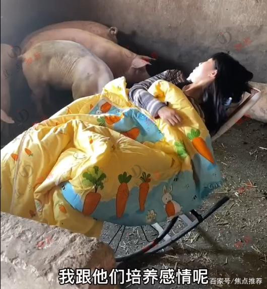 Cô gái xinh xắn thích ngủ trong chuồng lợn, thậm chí còn múa hát cho 'đàn con' nghe Ảnh 5