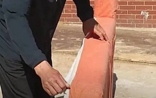 'Tiếc của' đem tấm đệm sofa vứt ngoài bãi rác về nhà, người đàn ông 'sững người' với thứ bên trong Ảnh 2