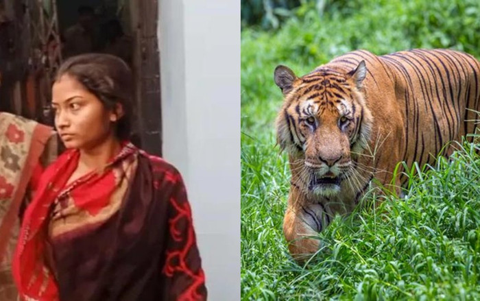 Vượt rừng cọp, bơi qua sông đầy cá sấu để kết hôn với bạn trai, cô gái nhận cái kết 'đắng' Ảnh 2