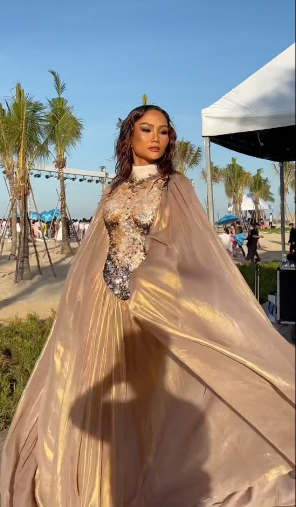 H'Hen Nie và những lần khiến fan phát hoảng với bộ cánh 'trời ơi', chiếc đầm gần nhất nhìn 'phát sợ' Ảnh 3