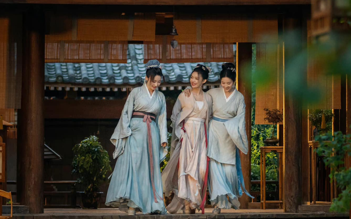 Biên kịch phim Mộng Hoa Lục do Lưu Diệc Phi đóng bị mắng không có văn hoá, chuyện gì đây? Ảnh 4