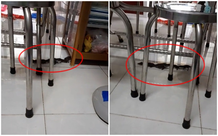 Cả họ nhà chuột làm 'đám cưới' trong nhà, người kêu may mắn, kẻ khuyên gia chủ xả xui Ảnh 2