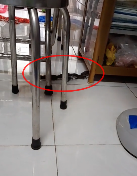 Cả họ nhà chuột làm 'đám cưới' trong nhà, người kêu may mắn, kẻ khuyên gia chủ xả xui Ảnh 3