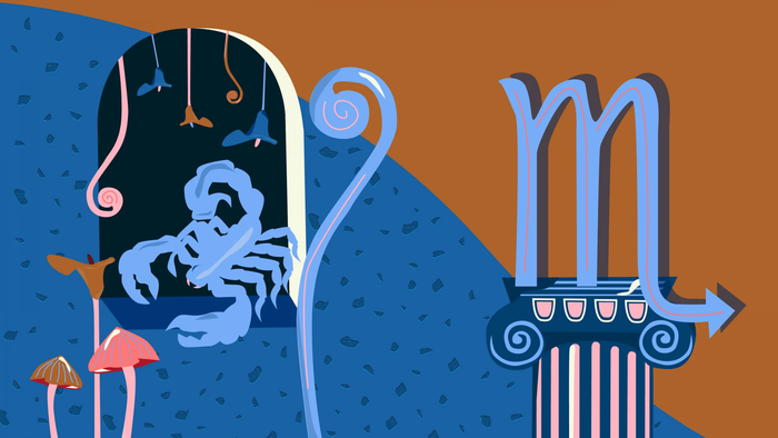 Tử vi hàng ngày 12 cung hoàng đạo thứ 4 ngày 8/6/2022: Cự Giải bất cẩn, Bọ Cạp mắc sai lầm Ảnh 6