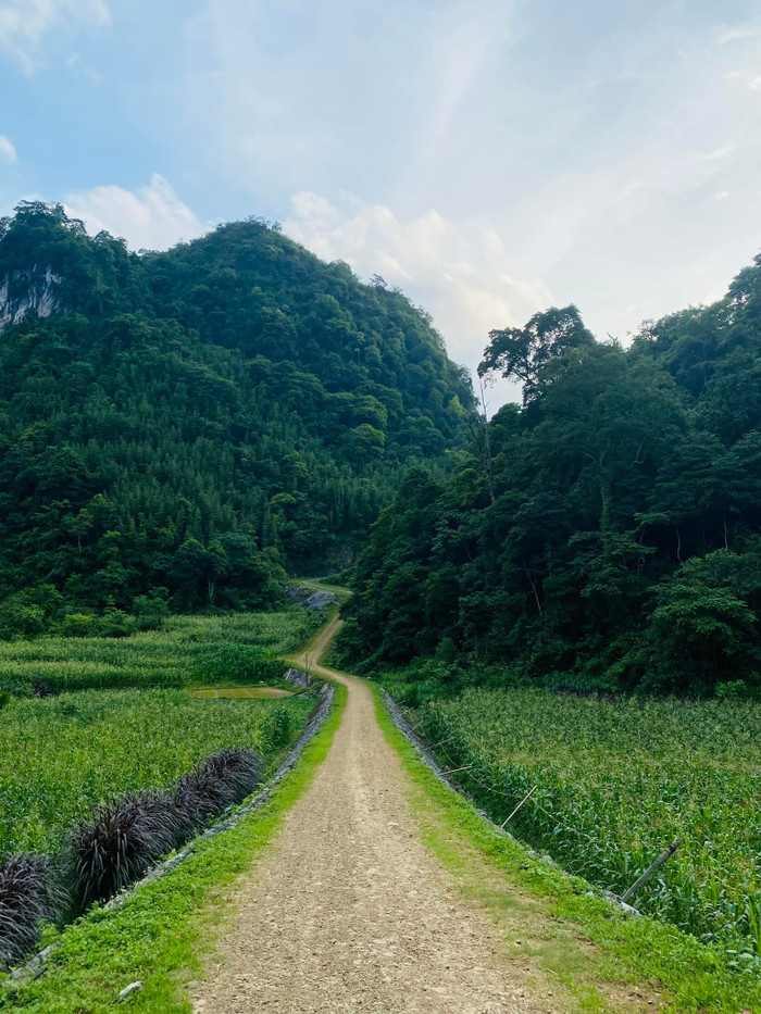 Top 4 địa điểm không thể bỏ qua khi đi du lịch Cao Bằng Ảnh 10