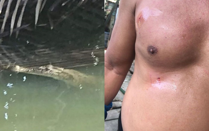 Hình ảnh con cá sấu đã tấn công ông Bohri Jali và để lại những vết xước trên da người đàn ông.