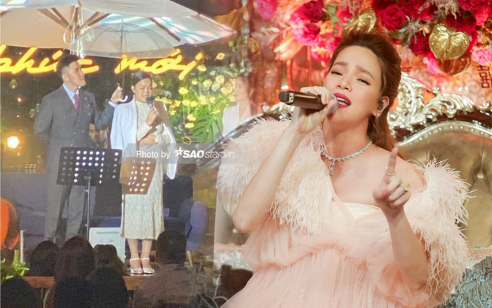 Trước Phạm Quỳnh Anh, Hồ Ngọc Hà cũng từng công khai mang bầu trong đêm nhạc Ảnh 2