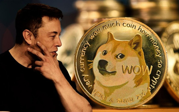 Liên quan đến vụ lừa đảo đa cấp với Dogecoin, Elon Musk bị khởi kiện và phải bồi thường hơn 200 tỷ USD Ảnh 2