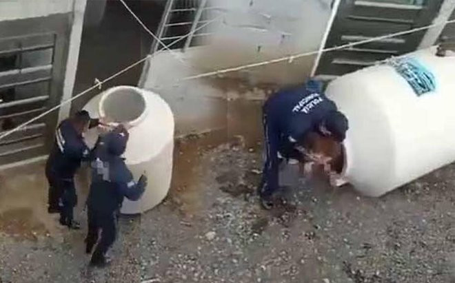 Nghe thấy tiếng khóc ỉ ôi phát ra từ bồn nước, hàng xóm 'kinh hồn bạt vía' phát hiện bí mật động trời Ảnh 2