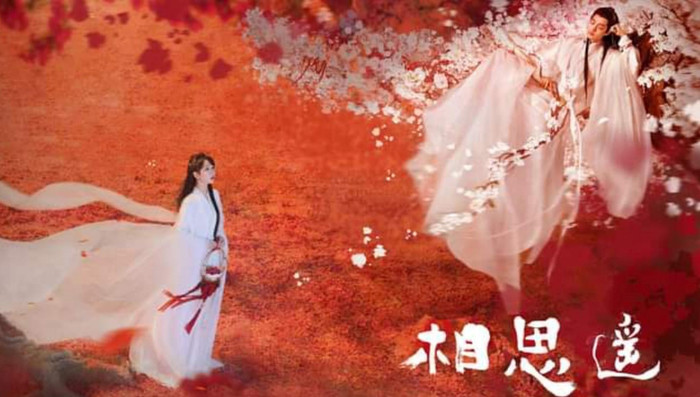 Ảnh được fan làm lại 1.