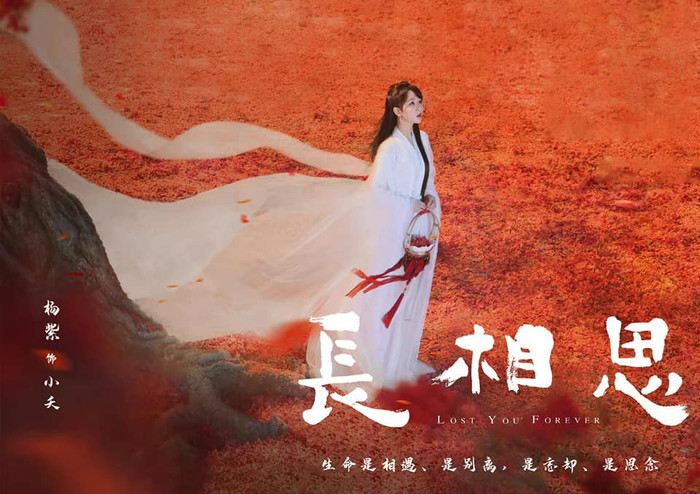 Poster phim truyền hình Trường Tương Tư do Dương Tử đóng chính.