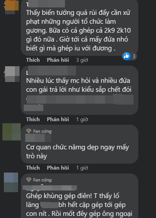 Rất nhiều bình luận chỉ trích, bày tỏ sự phẫn nộ trước hoạt động gây phản cảm của ghép đôi phố đi bộ.
