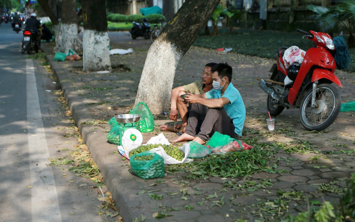 Những mảnh đời mưu sinh giữa Thủ đô để kiếm miếng ăn: 'Giống như đánh cược tính mạng của mình' Ảnh 2