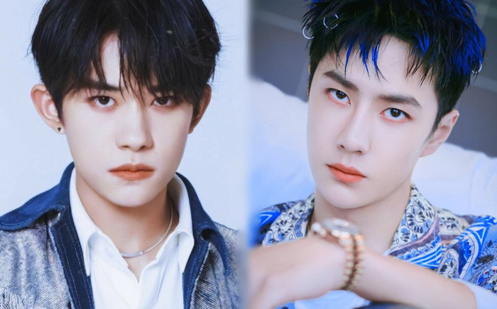 Vương Nhất Bác - Dịch Dương Thiên Tỉ: Xuất phát điểm giống nhau nhưng khoảng cách chênh lệch quá lớn Ảnh 2