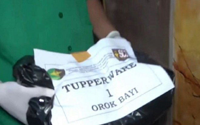 Chủ nhà 'rụng rời chân tay' phát hiện ra 7 bào thai trong hộp giấy tại phòng trọ khách thuê Ảnh 2