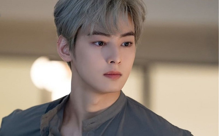 Cha Eun Woo được mời đóng phim Hollywood, dân mạng lắc đầu... chê Ảnh 2