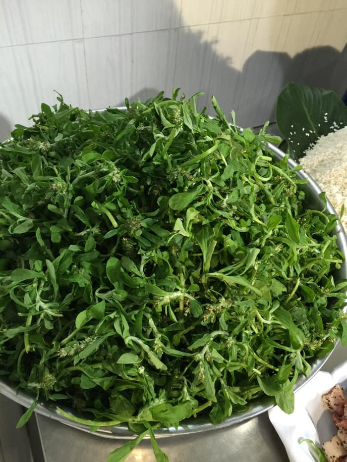 Loại rau quen thuộc làm xôi khúc, ngày trước mọc dại bây giờ thành đặc sản 500.000 đồng/kg Ảnh 3