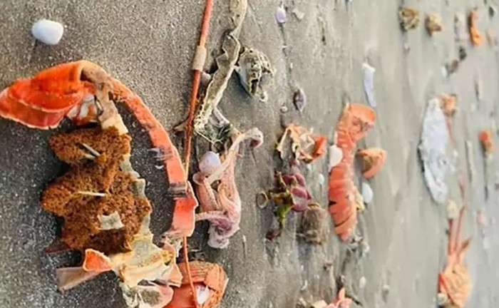 Bãi biển đầy rác được chia sẻ trên mạng xã hội sau tiệc đám cưới